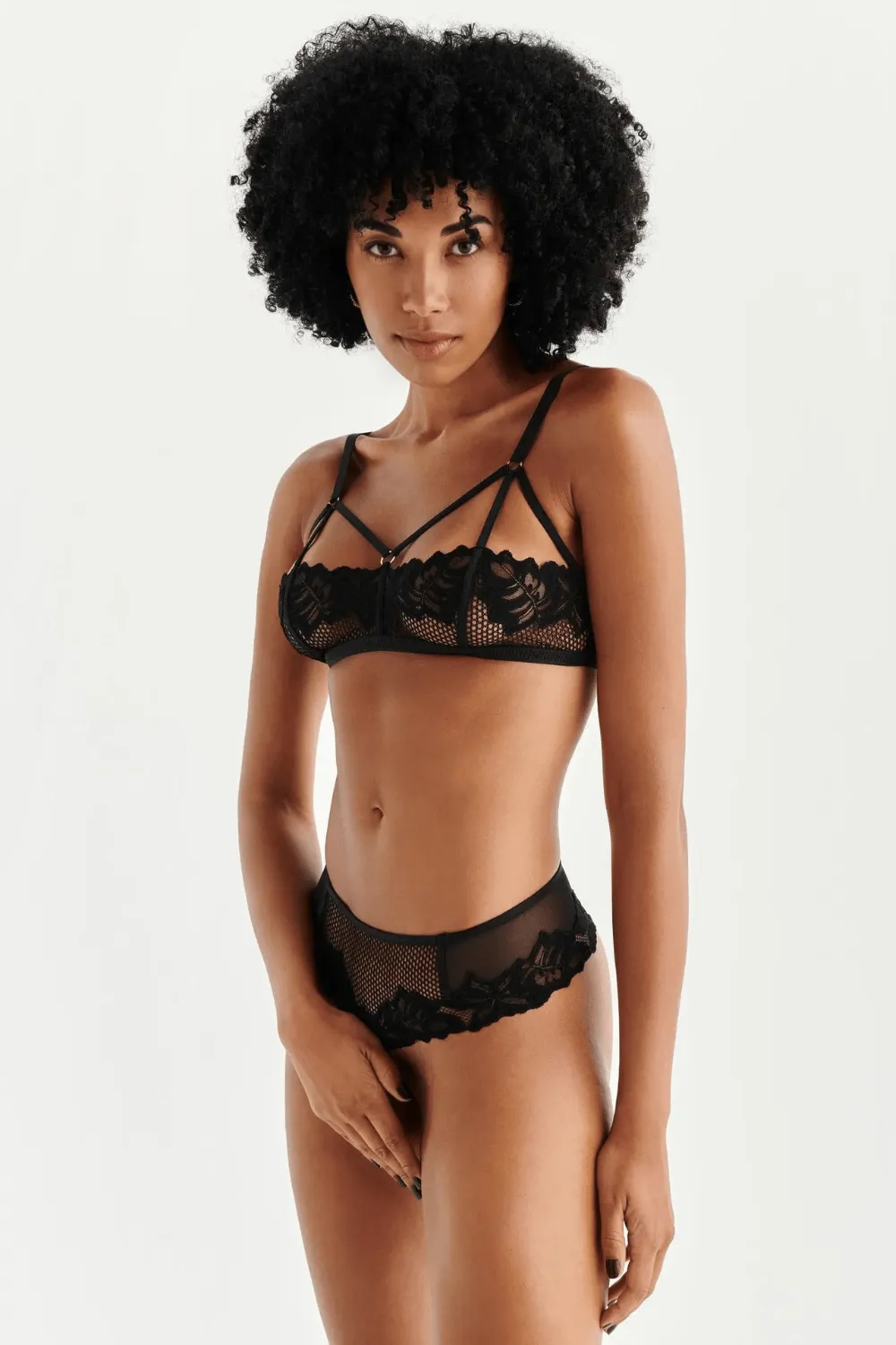 London Daisy Brief