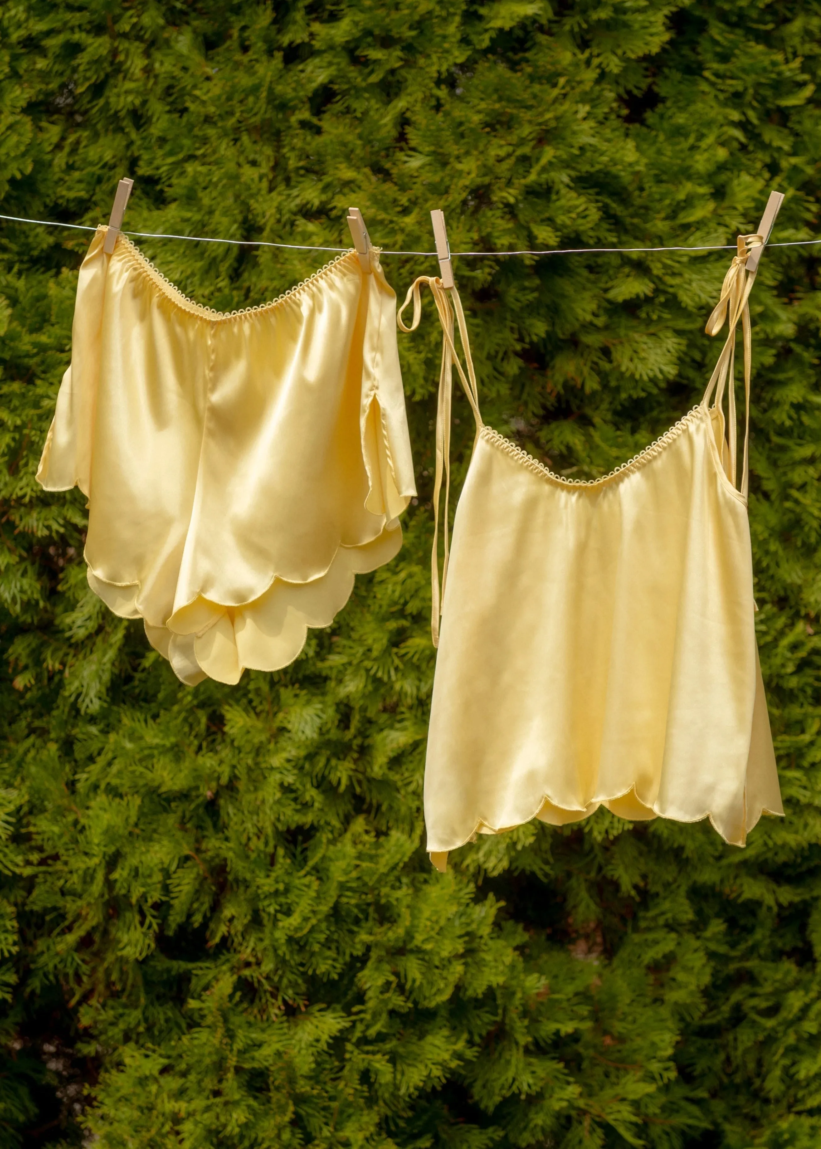 Scalloped Embroidered Satin Shorts - Lemon Chiffon
