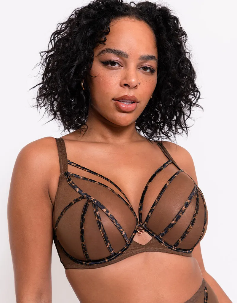 Scantilly Senses Plunge Bra Leopard Brown