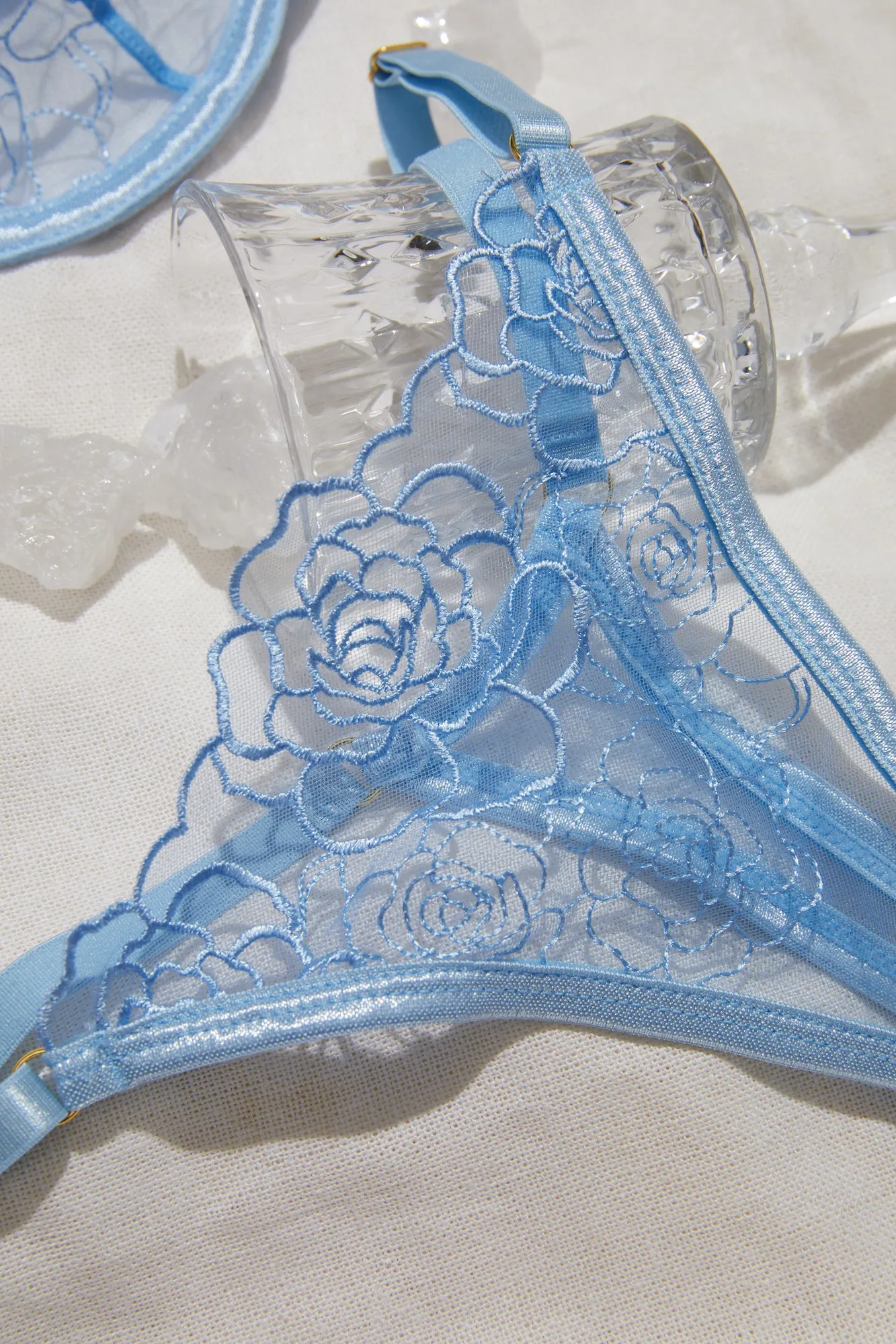 Sheer Lingerie in Blue