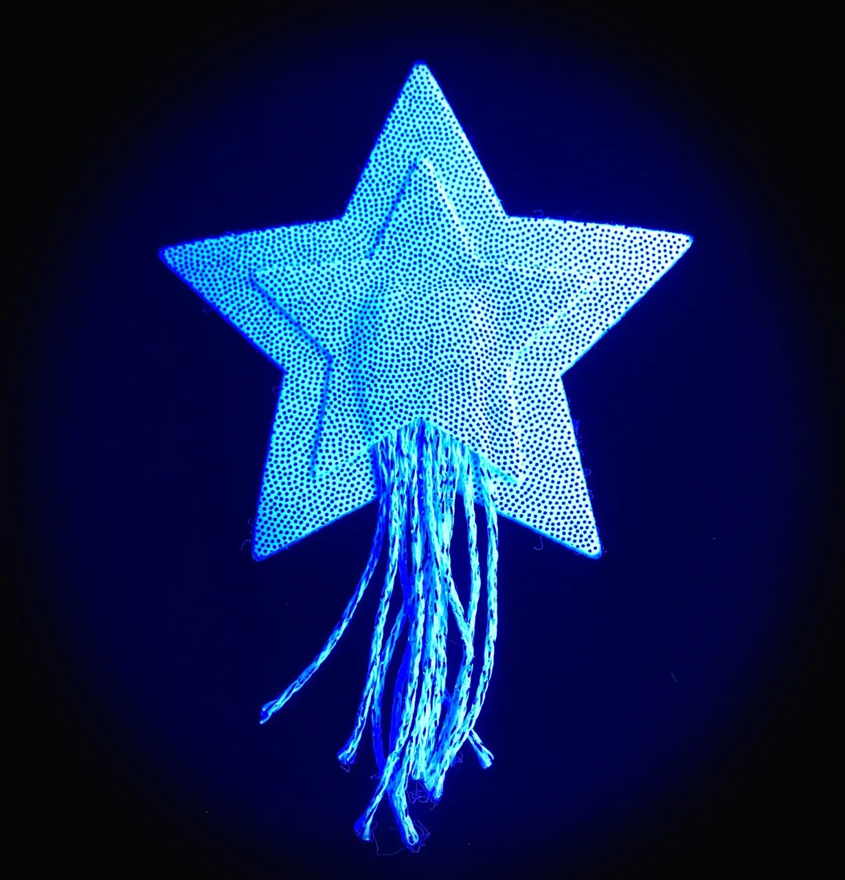 Star: Tassel Pasties: Silver Glitter Star with Fringe Nipple Pasties